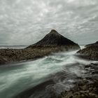 wild staffa