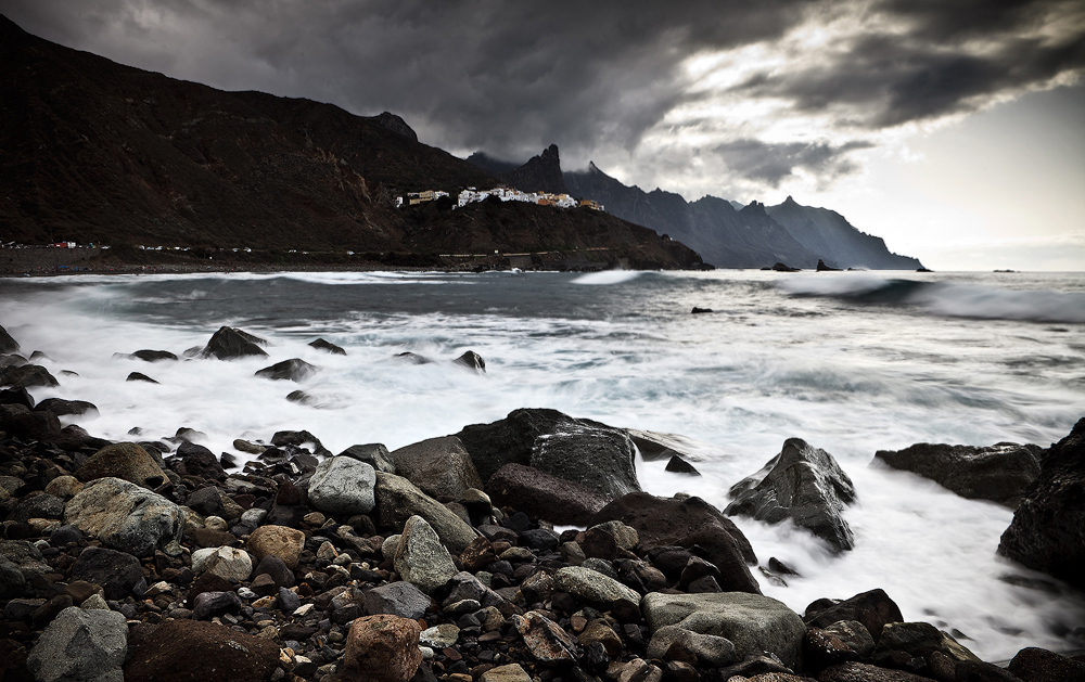 [ ... wild tenerife ]