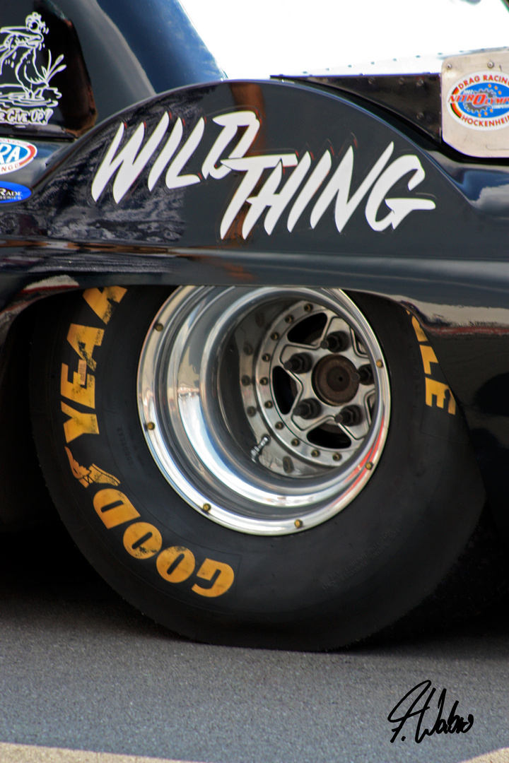 Wild Thing (Pro-Mod)