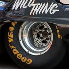 Wild Thing (Pro-Mod)