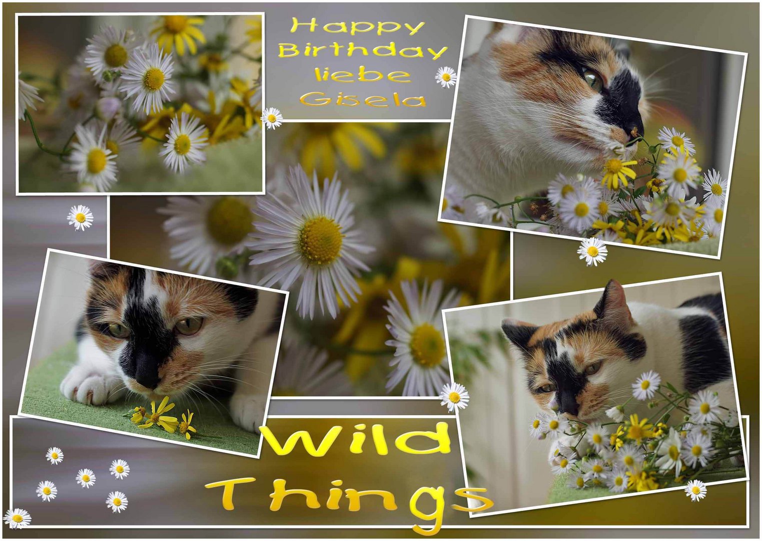 Wild Things