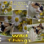 Wild Things