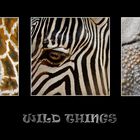 Wild Thing´s