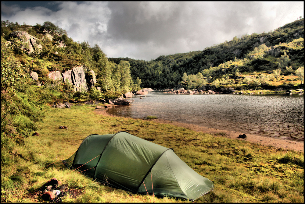 WILD UND GRÜN