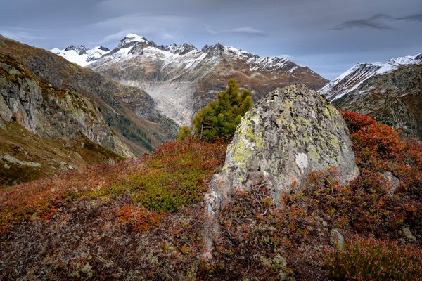 wild und schroff, und dennoch farbig und lieblich