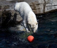 Wild und übermütig