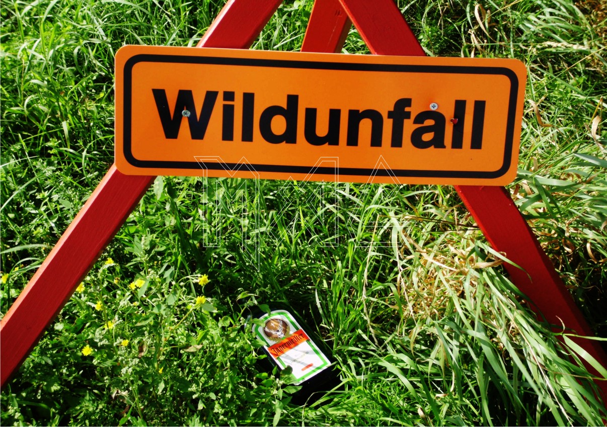 Wild Unfall