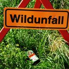 Wild Unfall