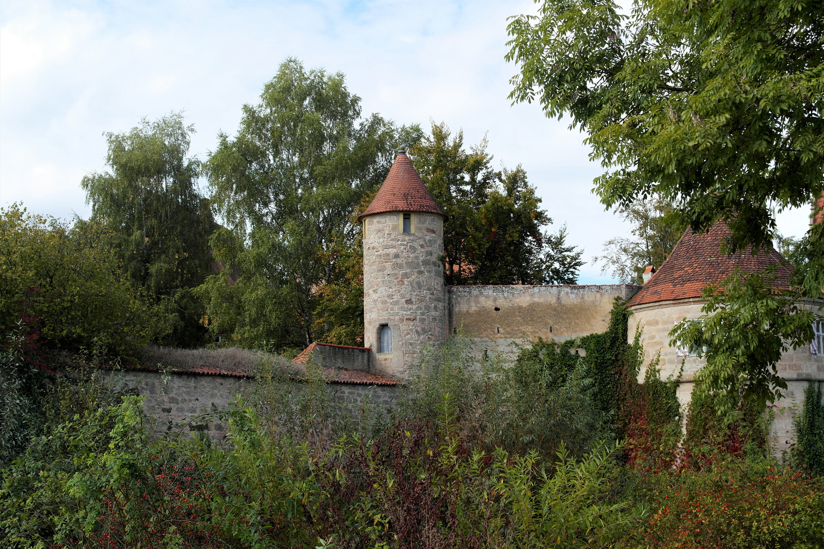 Wild verwachsen  Stadtmauer Dinkelsbühl