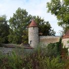 Wild verwachsen  Stadtmauer Dinkelsbühl