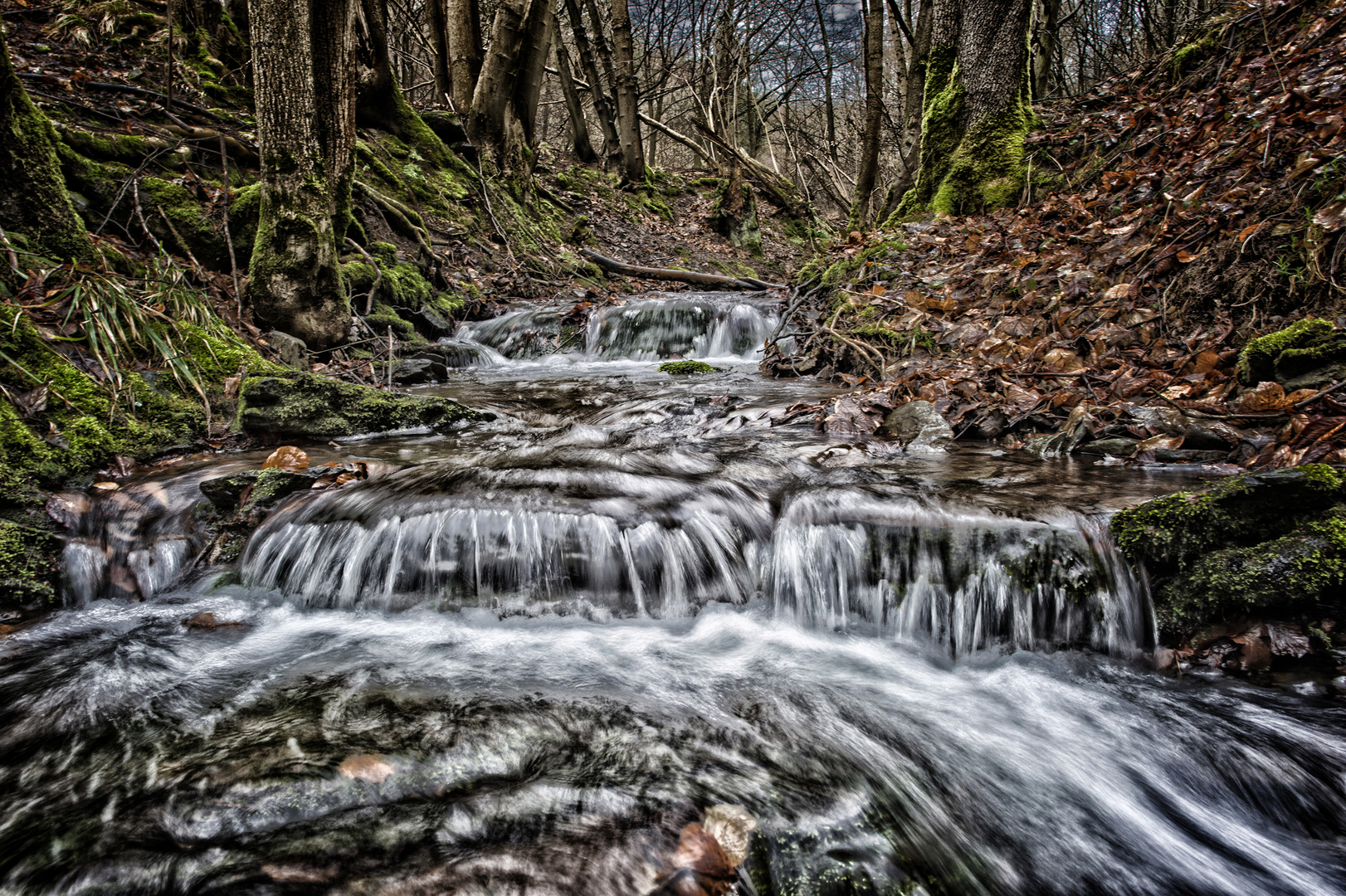 Wild - wasser 2