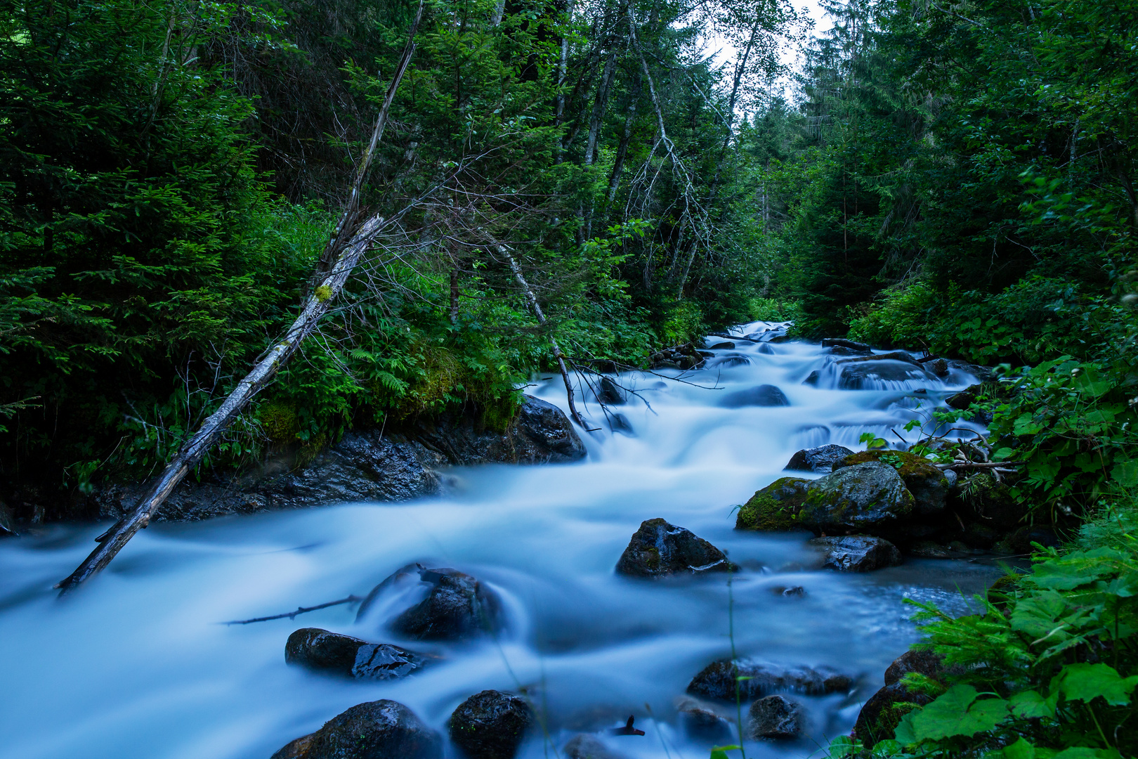 wild water under control