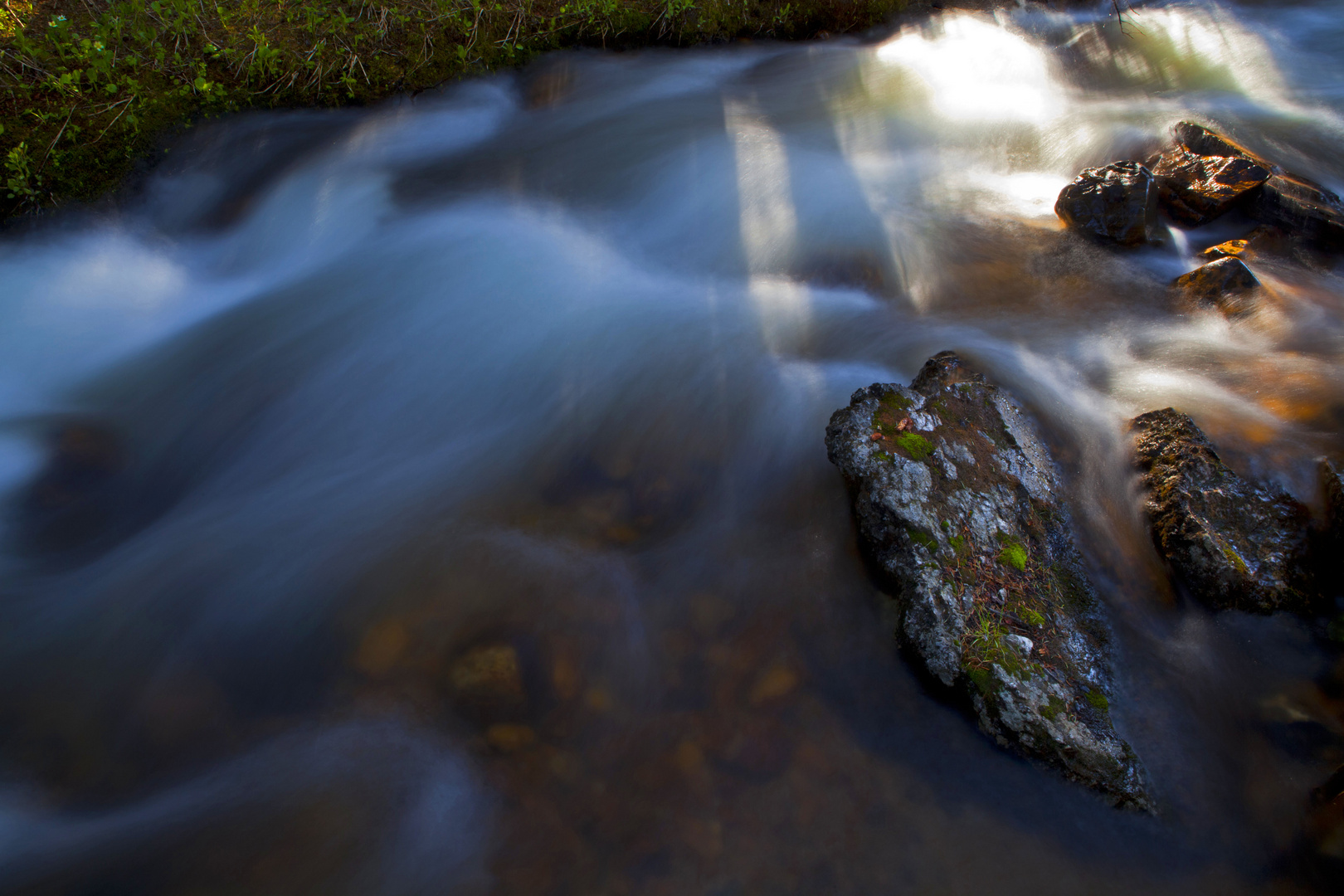 Wild Waters