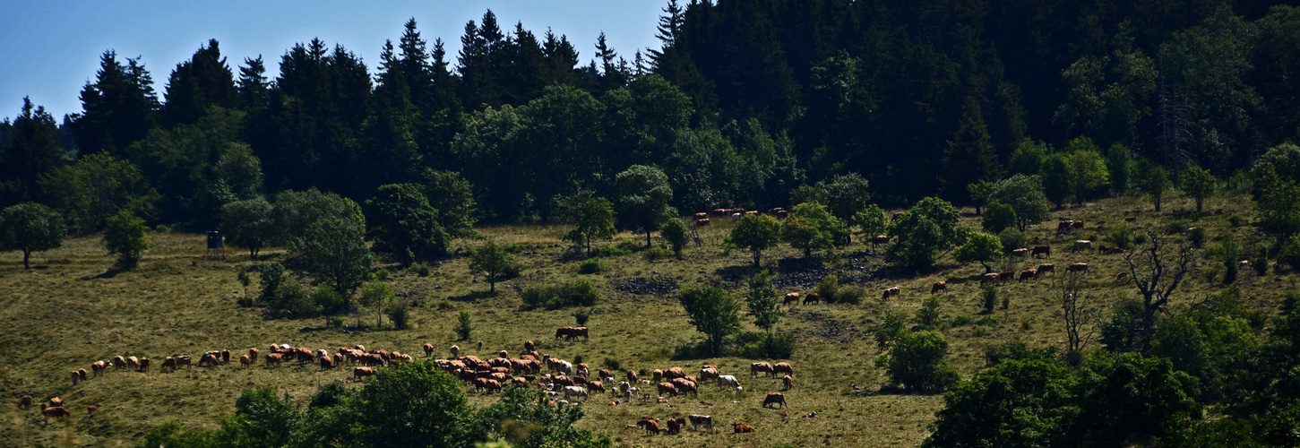 Wild West Germany