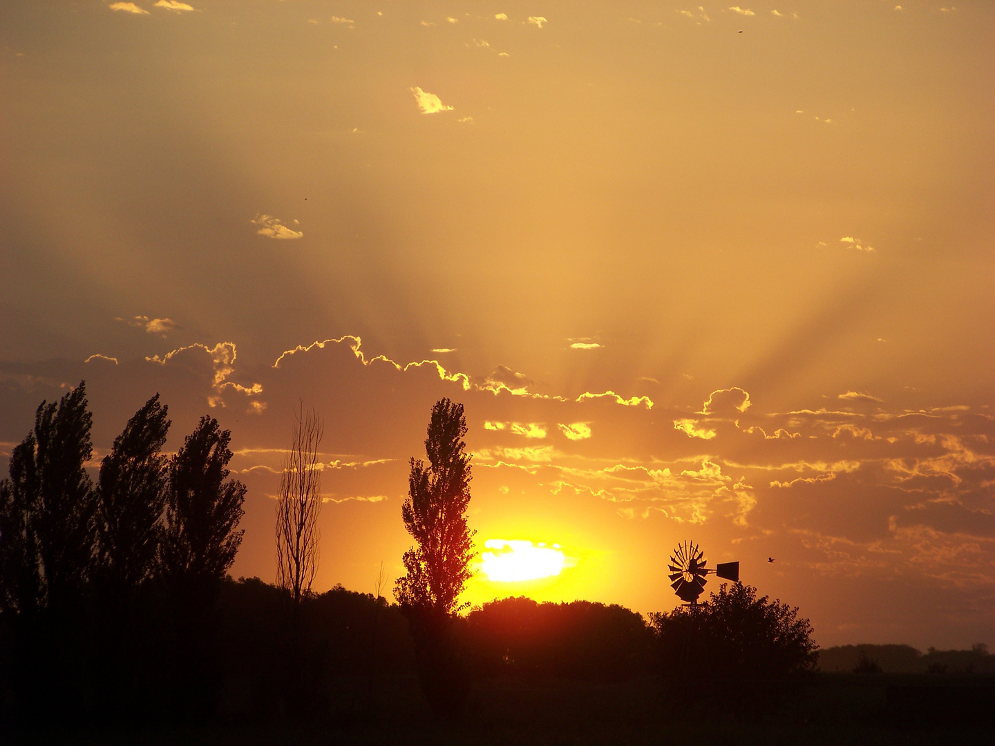 Wild-West_Stimmung in der Pampa