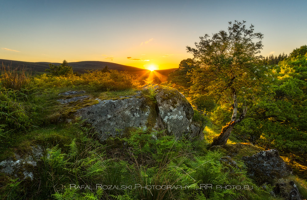 Wild Wicklow Mountains