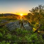 Wild Wicklow Mountains