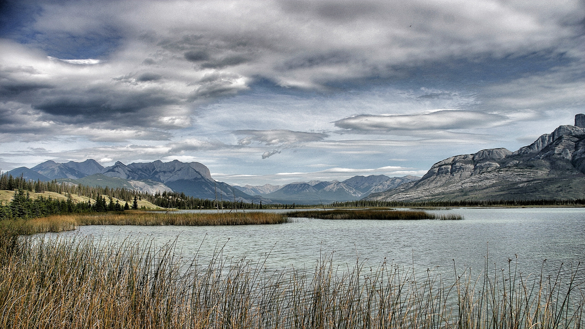 wild wild west (canada)