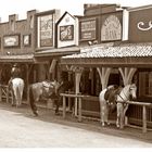 Wild Wild West im Harz