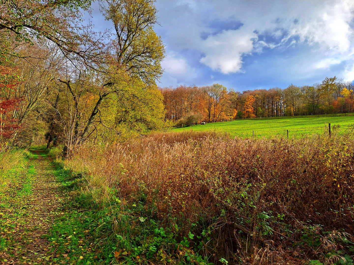 wild wild Westerwald 