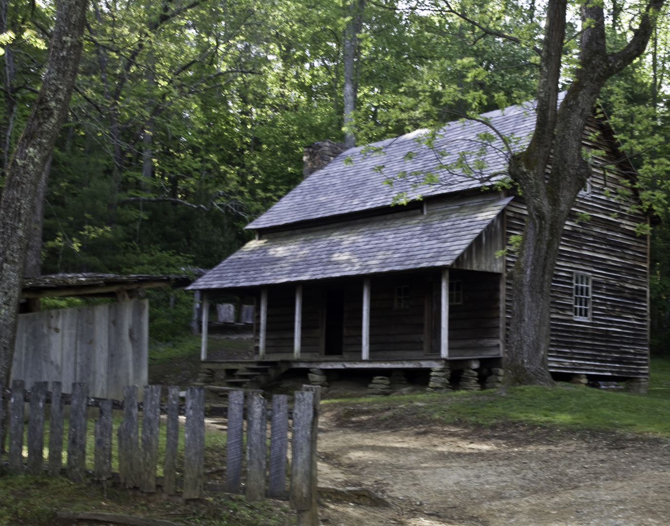 Wild-wood Home