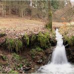 Wildbach (1.Wandertour 2011)