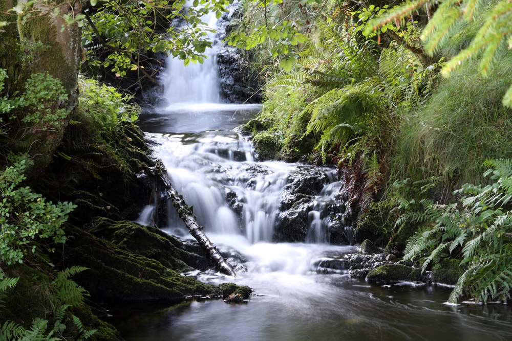 Wildbach Foto & Bild deutschland, europe, niedersachsen Bilder auf