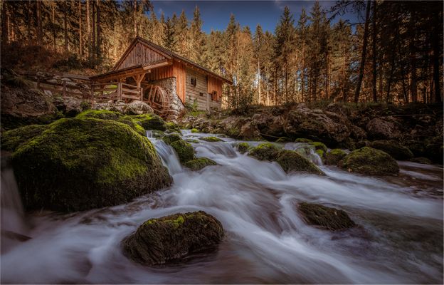 ——wildbach——