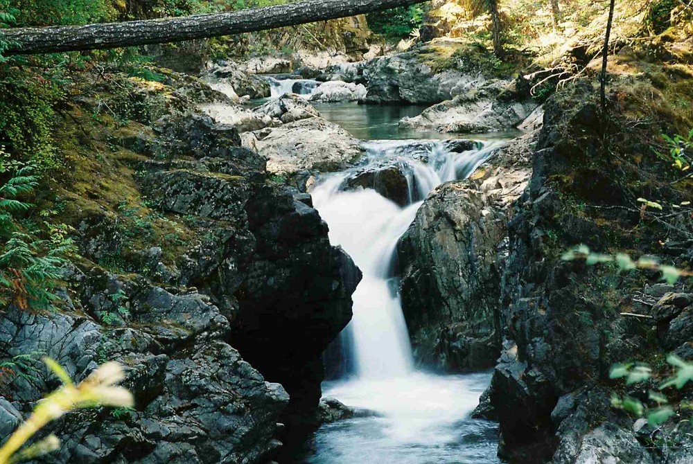 Wildbach auf Vancouver Island