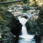 Wildbach auf Vancouver Island