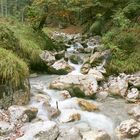 Wildbach  beim Wilden Kaiser, Tirol.