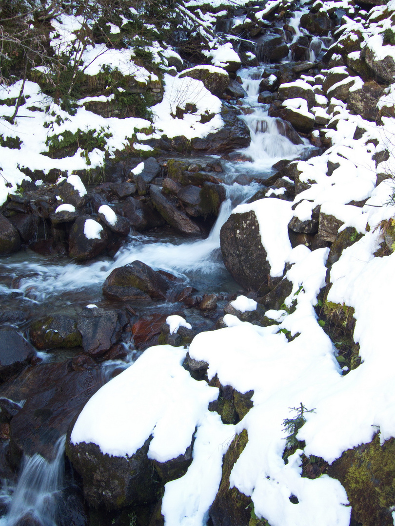 Wildbach Böckstein Ö im Schnee