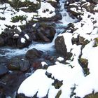 Wildbach Böckstein Ö im Schnee