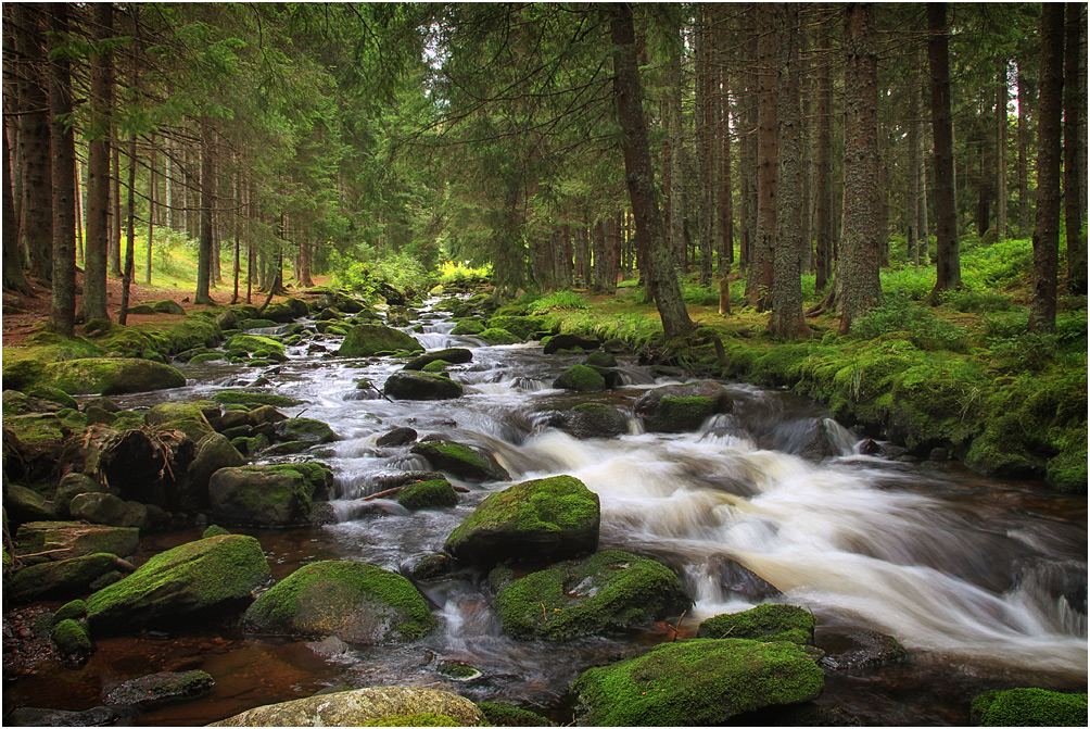 Wildbach-Böhmerwald-2