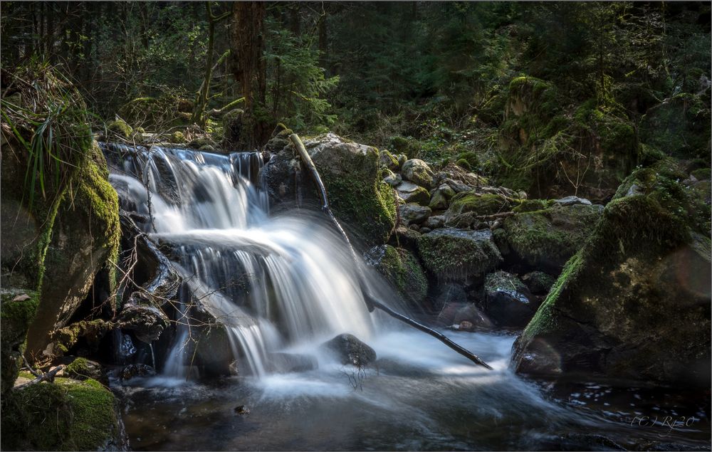 wildbach Foto & Bild deutschland, europe, baden württemberg Bilder