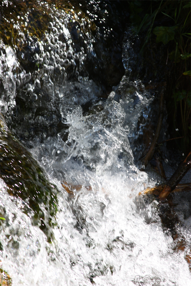 Wildbach - Eichhörnchenweg