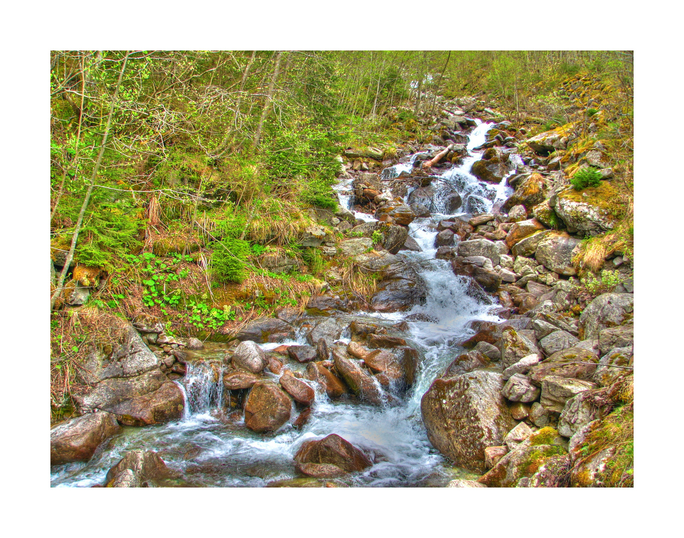 Wildbach im Gasteiner Tal