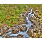 Wildbach im Gasteiner Tal