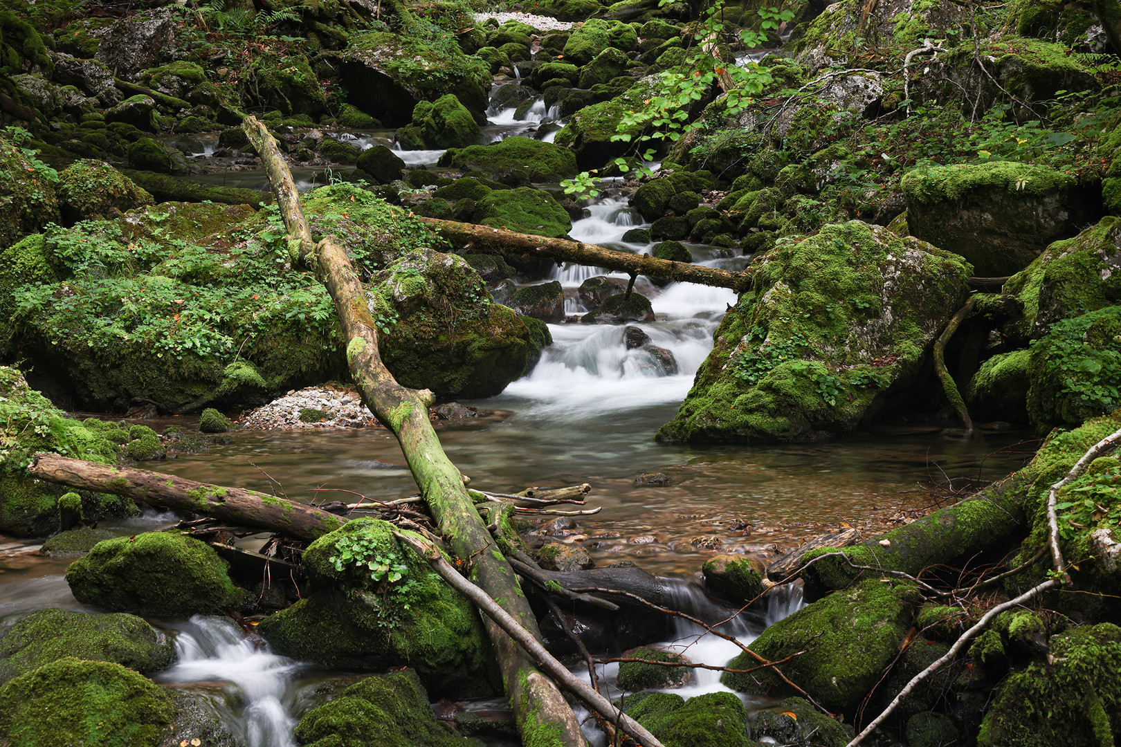 Wildbach im Hartelsgraben