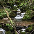 Wildbach im Hartelsgraben