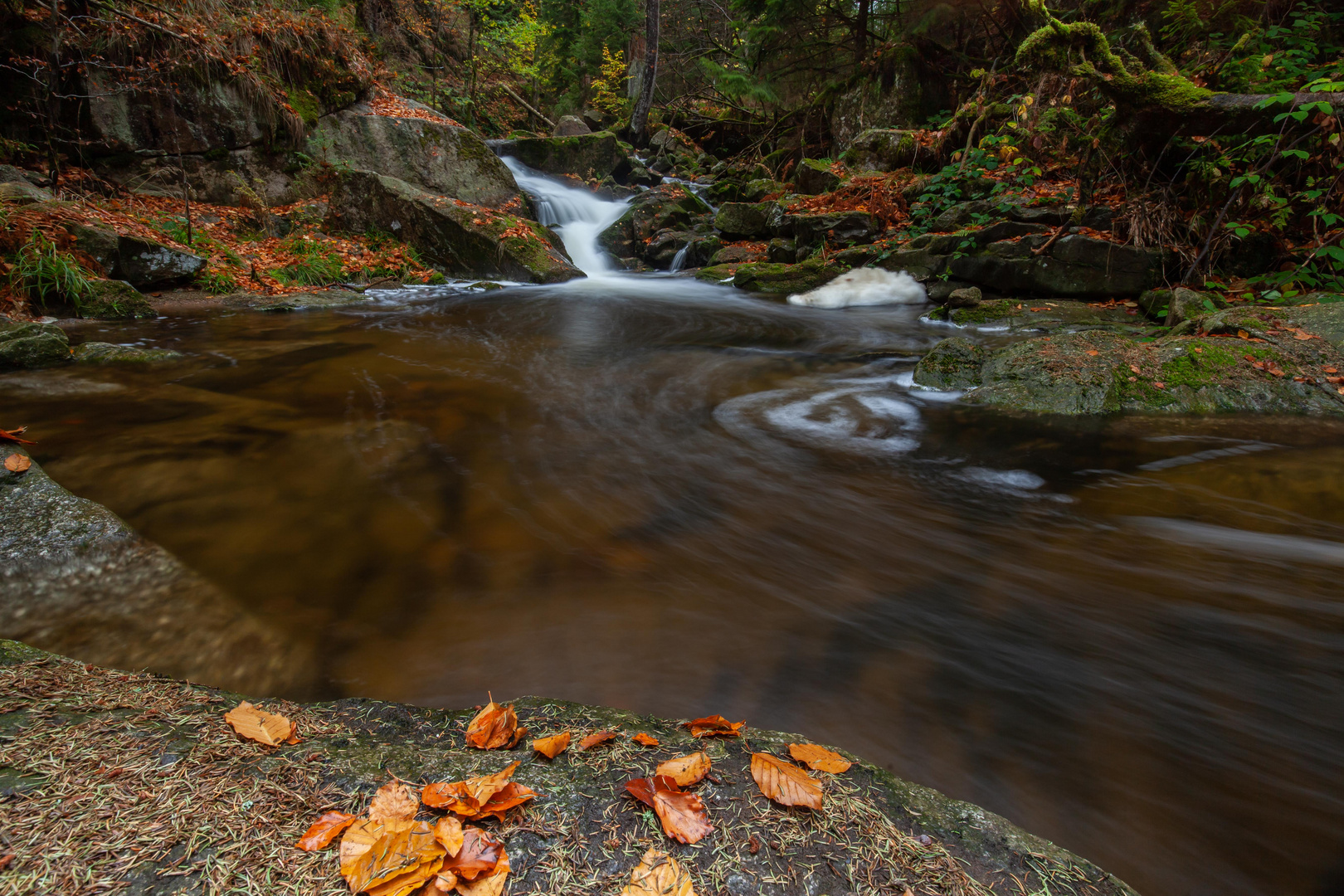 Wildbach im Herbstwald