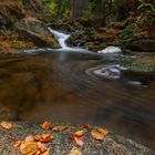 Wildbach im Herbstwald