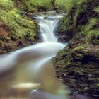 Wildbach im Hohen Venn