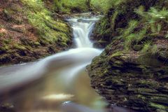 Wildbach im Hohen Venn