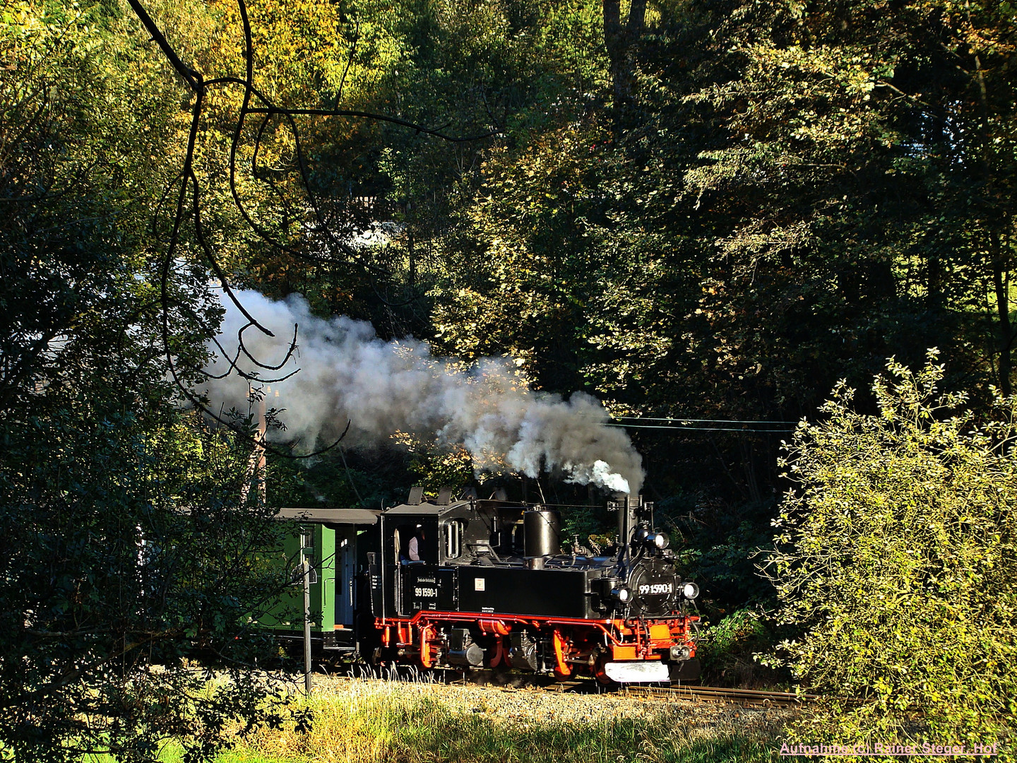 Wildbach im letzten Abendlicht