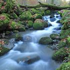 Wildbach im Westerwald