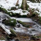 Wildbach im Winter