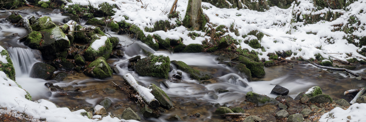 Wildbach im Winter