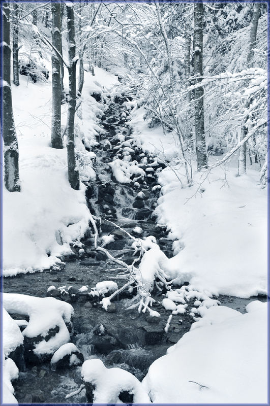 Wildbach im Winter