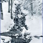 Wildbach im Winter